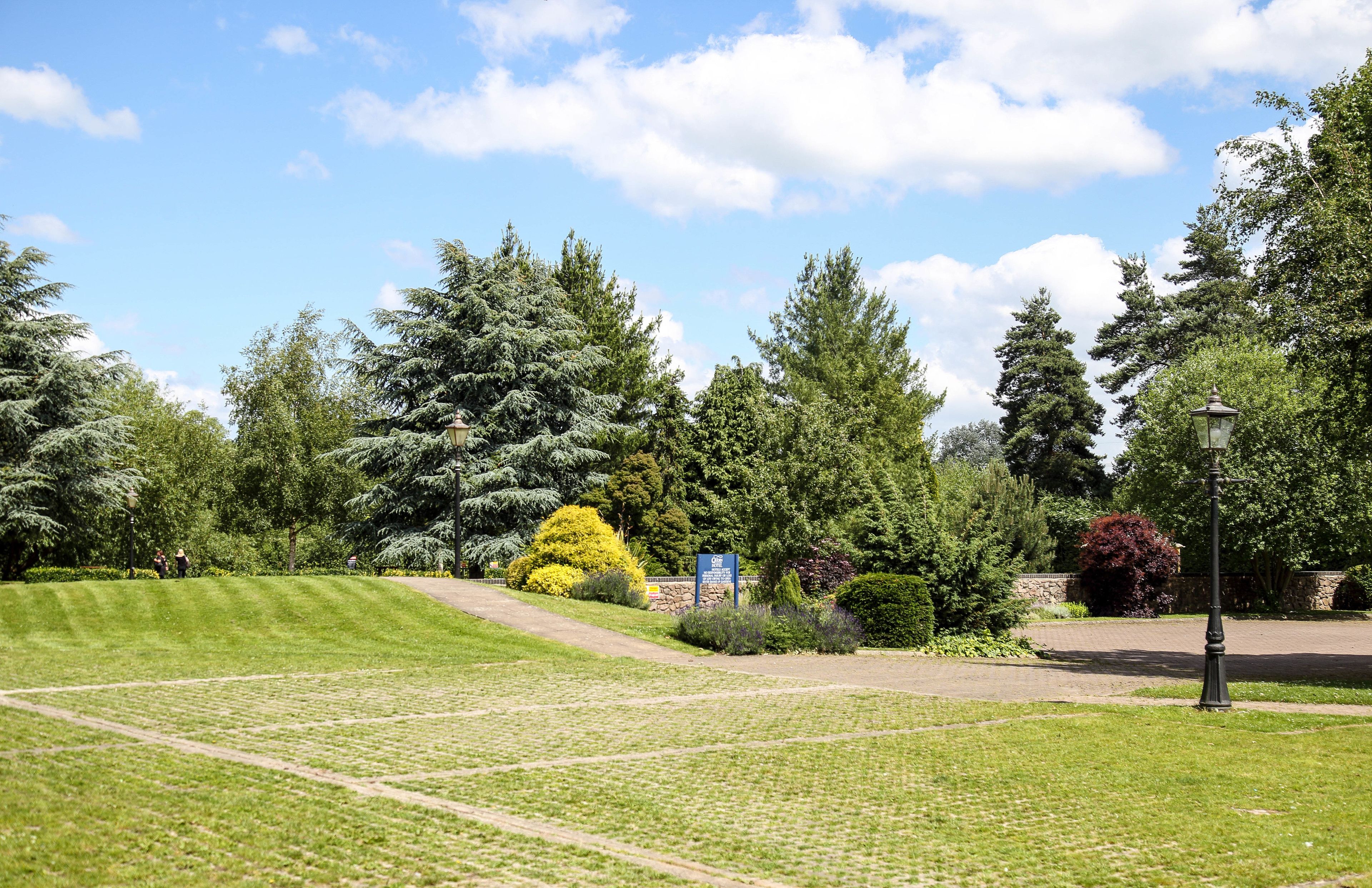 A well-maintained park with a variety of trees, a clear sky, and a paved pathway.