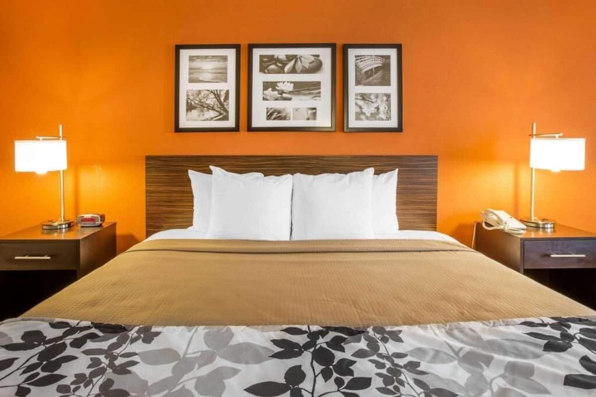 A hotel room with a large bed, two bedside tables, a nightstand, a wall-mounted phone, and framed pictures above the bed.