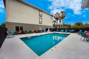 Seasonal outdoor pool, pool umbrellas, sun loungers