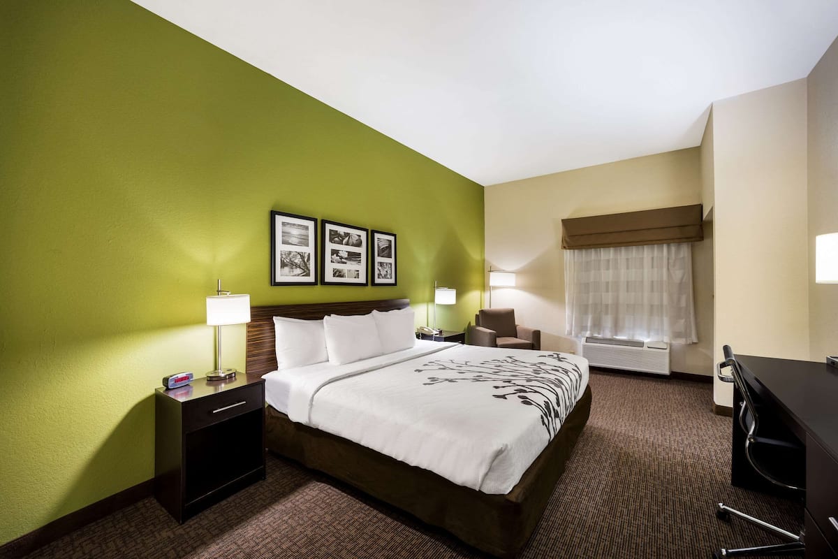 Room, 1 King Bed, Accessible, Non Smoking | Egyptian cotton sheets, premium bedding, pillowtop beds, in-room safe