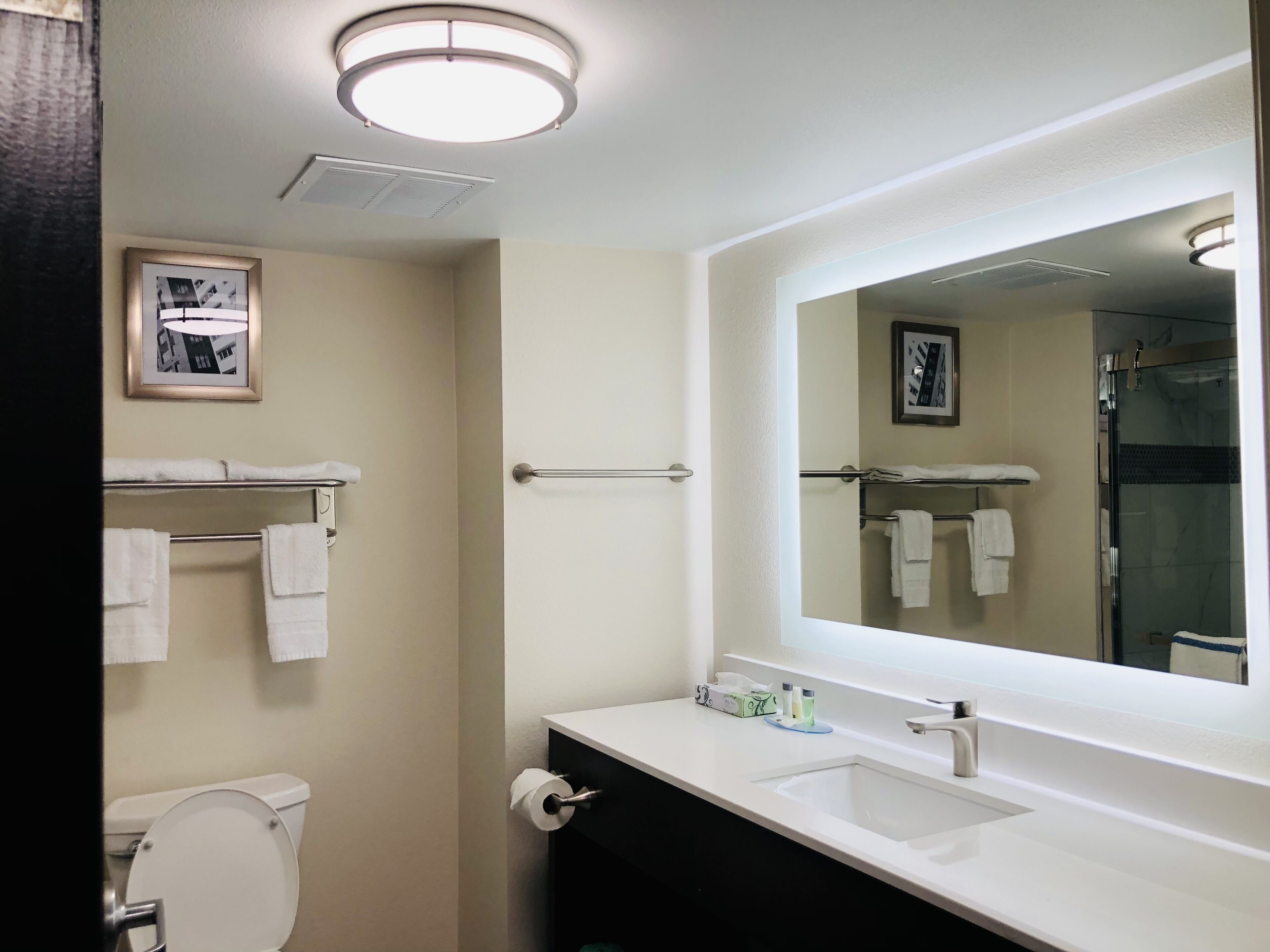 Baño con inodoro, lavabo y espejo. Hay toallas en un perchero y un cuadro en la pared.
