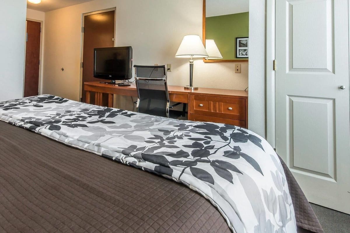 Standard Room, 1 King Bed, Non Smoking