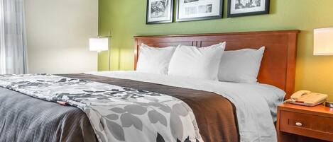 Hypo-allergenic bedding, down comforters, desk, iron/ironing board