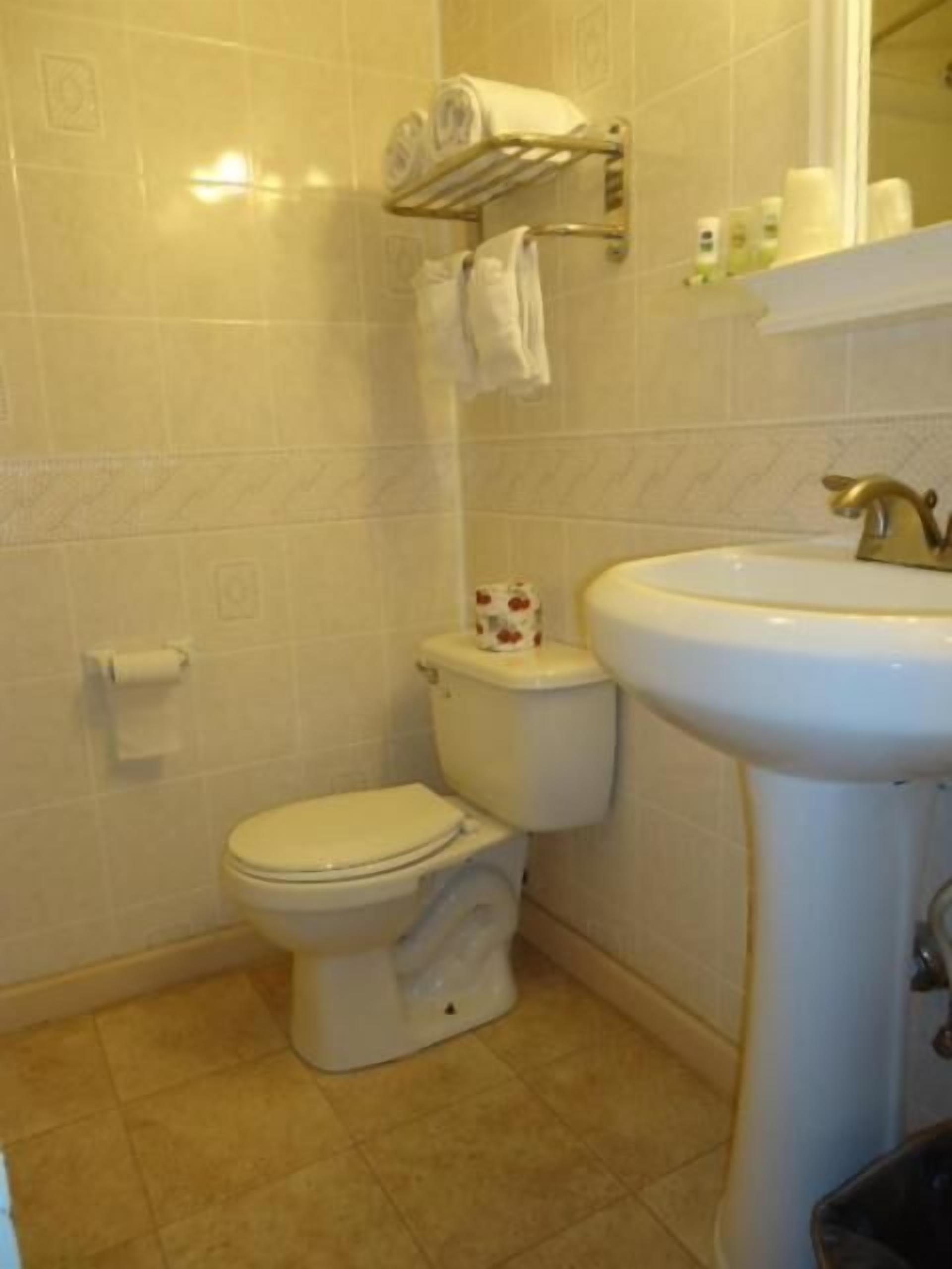 A bathroom with a toilet, sink, and towel rack.