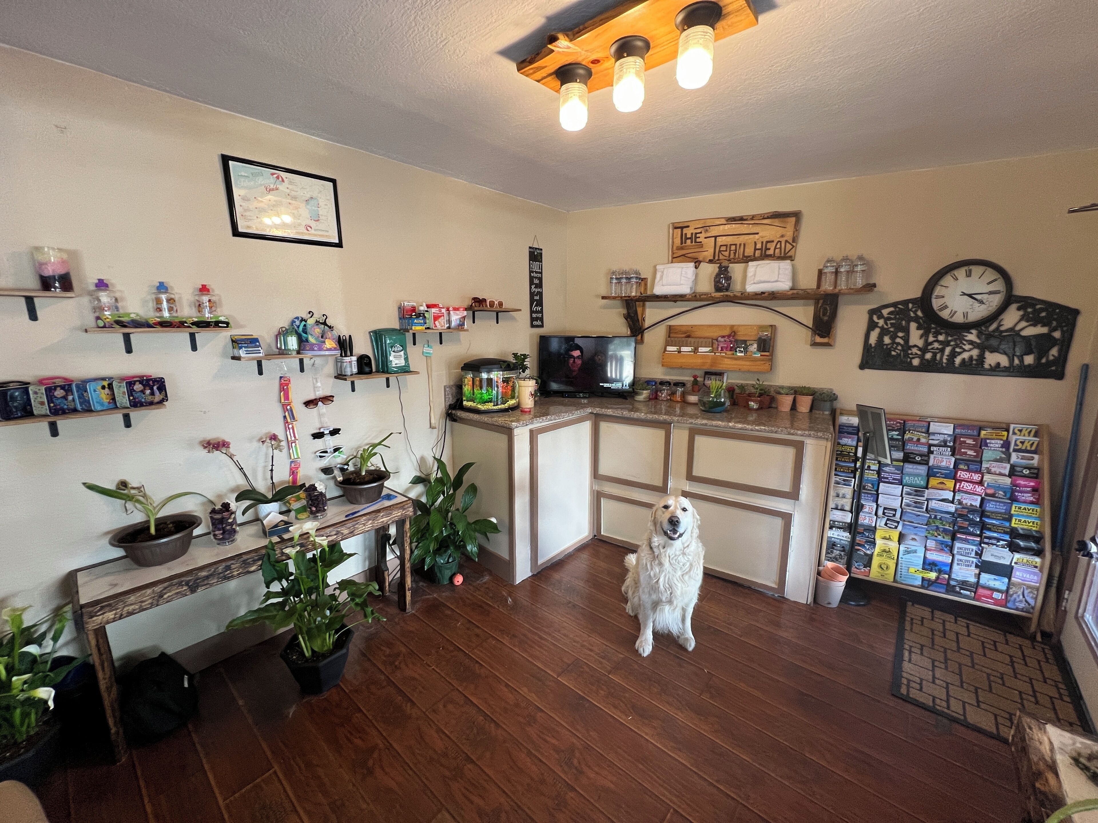 Photo - The Trailhead