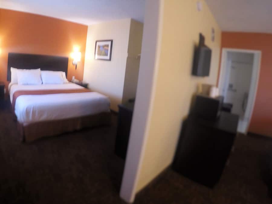 Room, 1 King Bed, Accessible | View from room