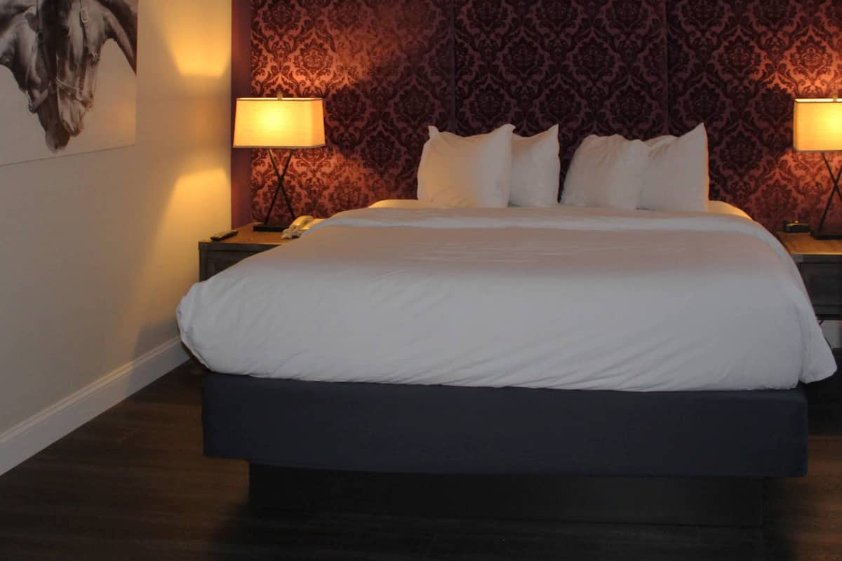 A bedroom with a large bed, two bedside lamps, a patterned headboard, and a wall-mounted artwork.