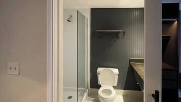 A modern bathroom with a toilet, a glass shower enclosure, and a vanity with a countertop.