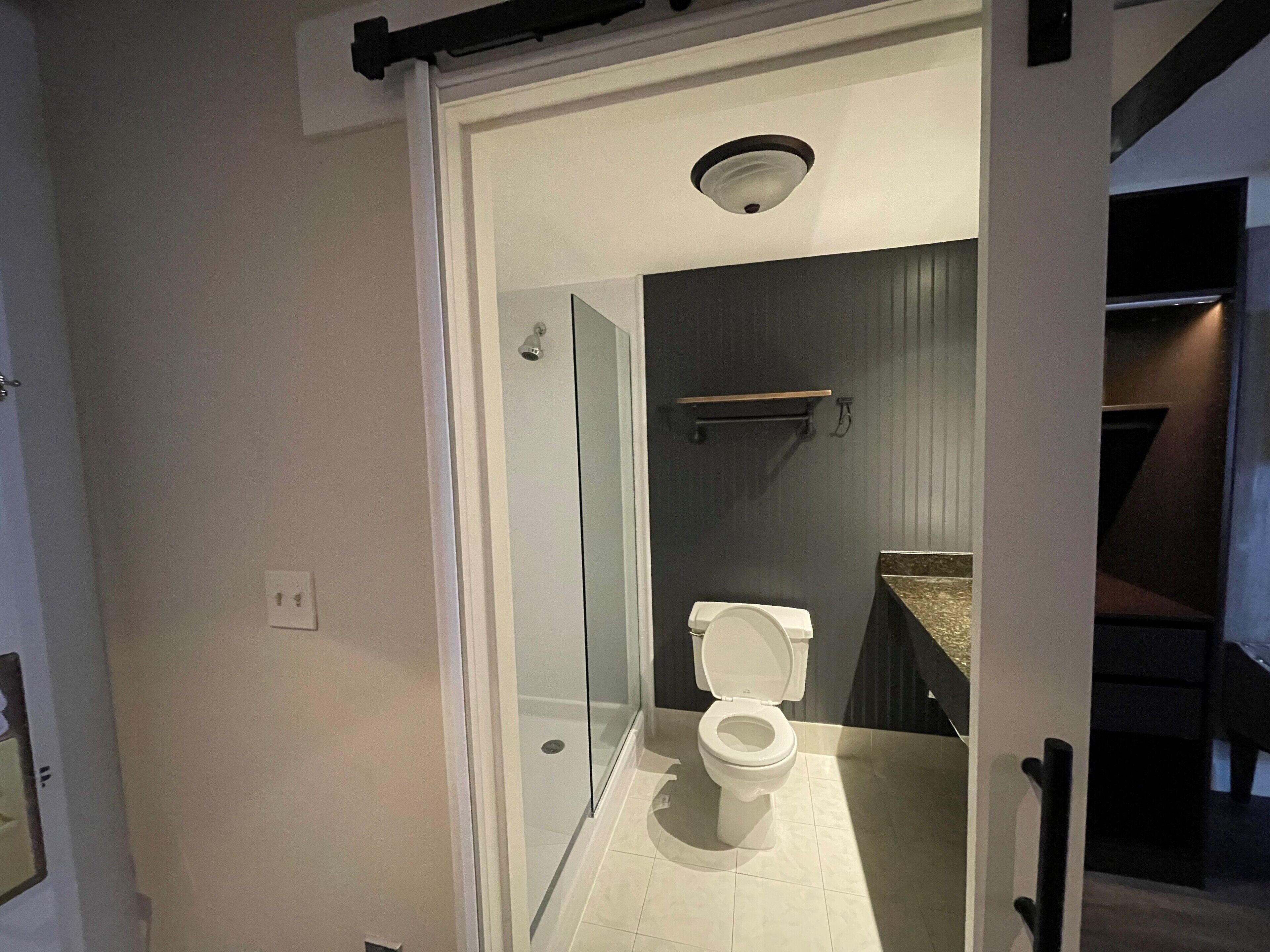 A modern bathroom with a glass shower enclosure, a toilet, and a vanity with a countertop.