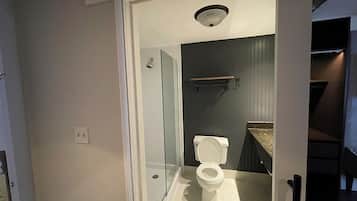 A modern bathroom with a glass shower enclosure, a toilet, and a vanity with a countertop.
