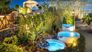 A landscaped garden with a pool, rocks, and tropical plants. - Hermitage Resort & Thermal Spa (Ischia)