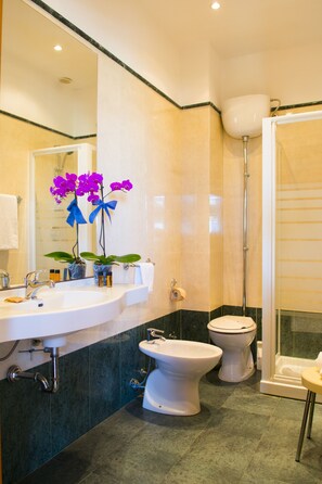 ฝักบัว, ของใช้ในห้องน้ำฟรี, ไดร์เป่าผม, โถสุขภัณฑ์แบบบิเดท์
