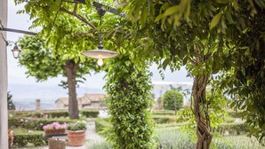 A garden with a pathway, potted plants, and a hanging light fixture.