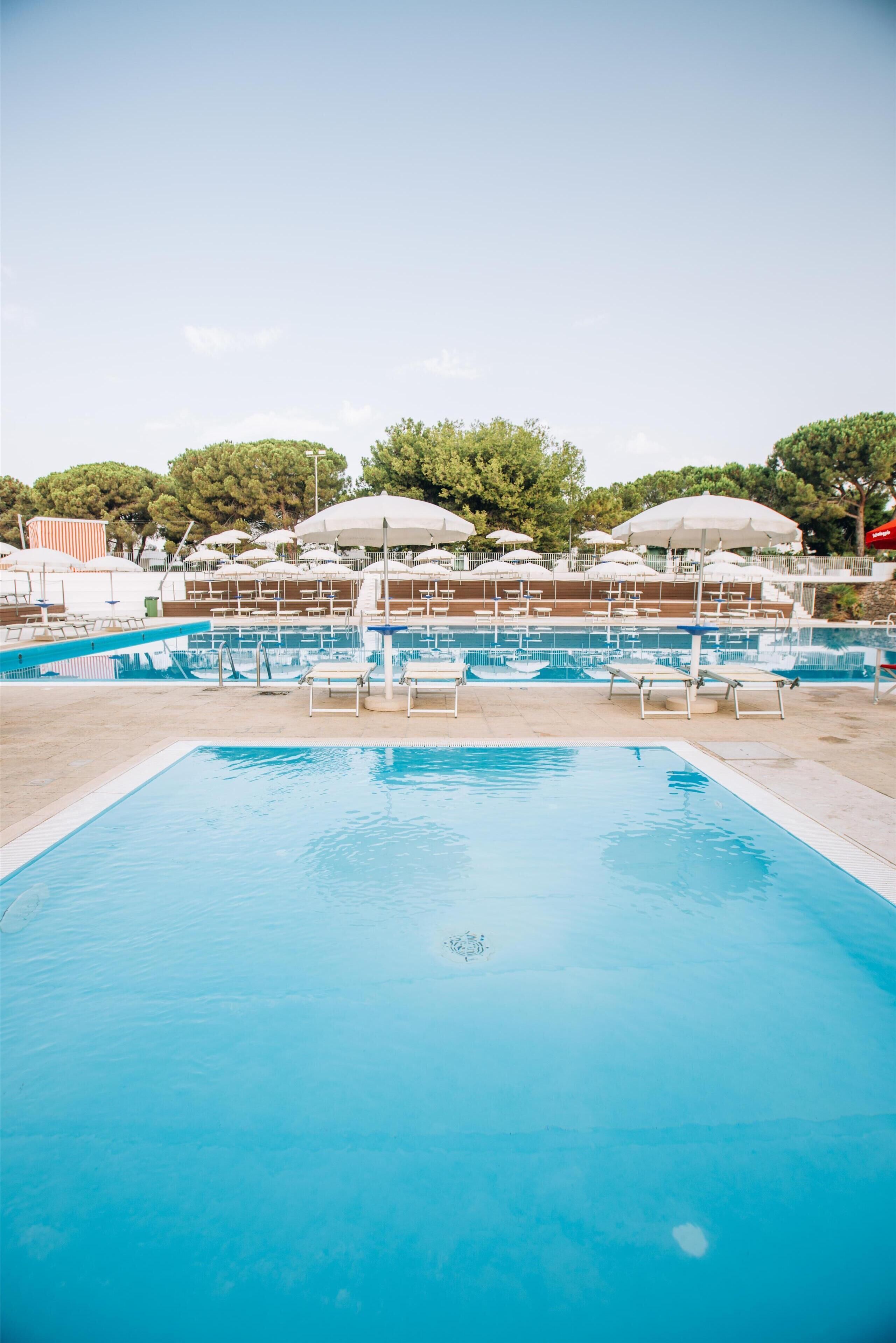 Une piscine entourée d’arbres et d’un mur de briques, avec des chaises longues et des parasols.