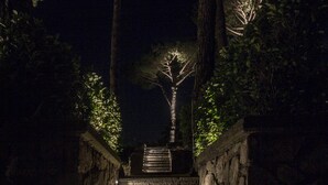 Un escalier en pierre dont les marches sont éclairées par des lampes, entouré d’arbres et de feuillage.