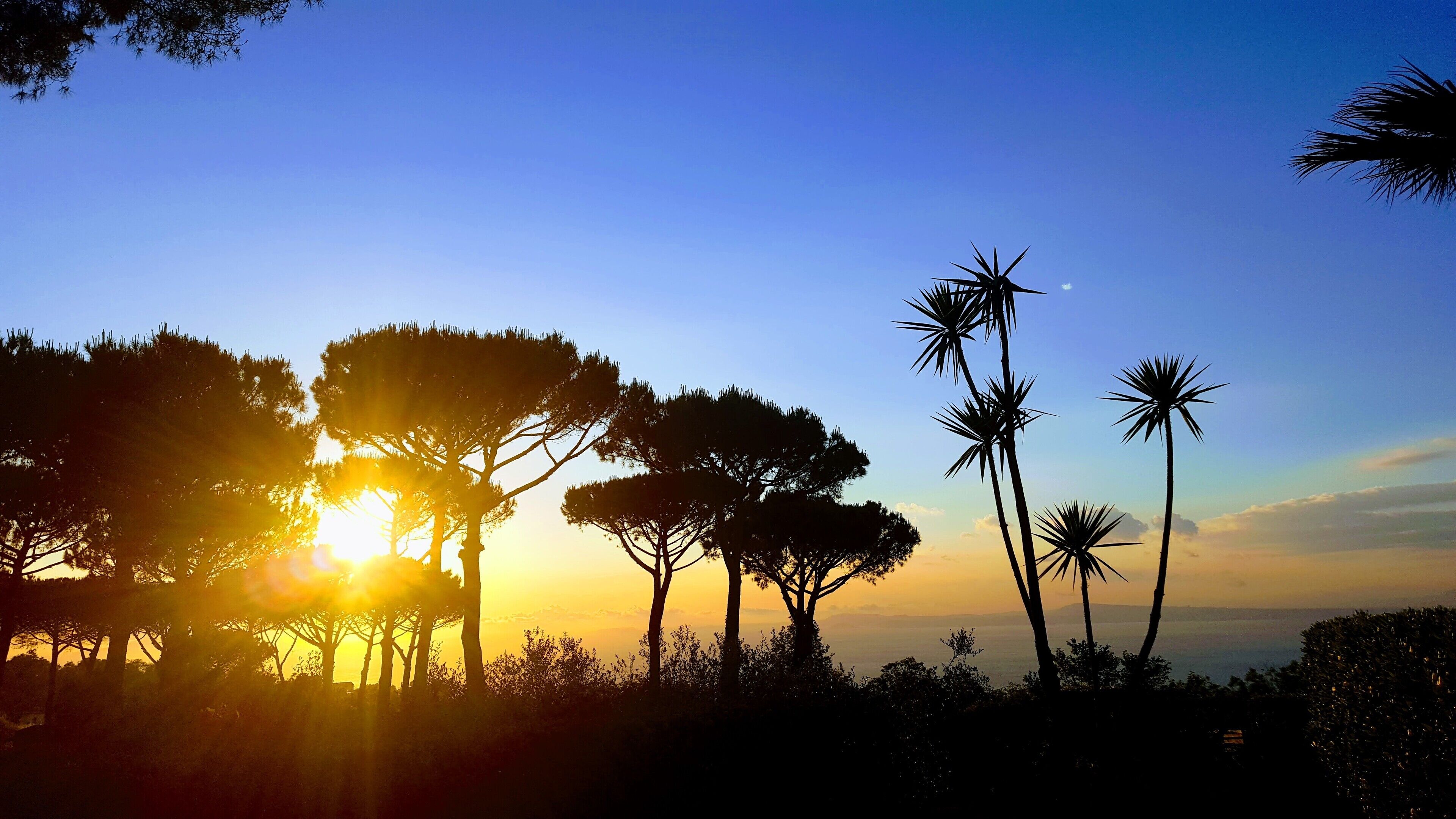 double room, balcony | view from room