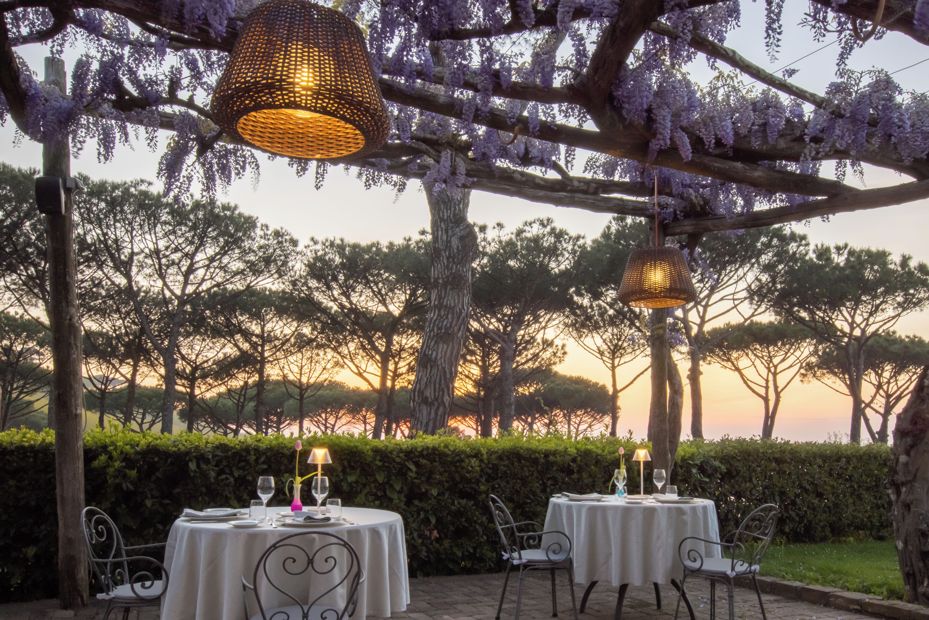 Petit déjeuner et dîner servis sur place, vue sur le jardin 