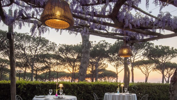 Un espace de restauration en plein air, avec des tables disposées sous une pergola ornée de glycines violettes, le tout entouré d’arbres et d’une haie.