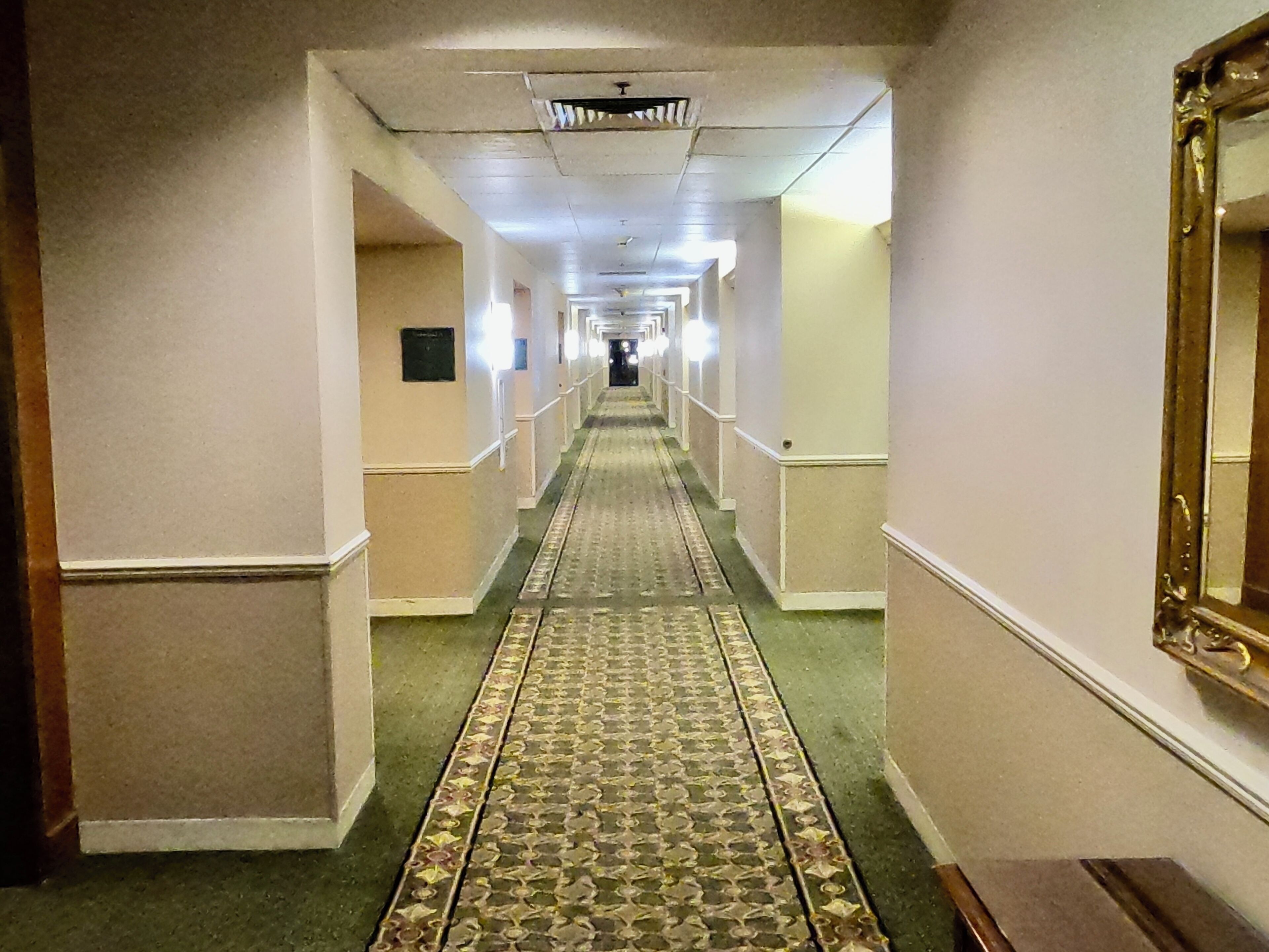 A long, narrow hallway with patterned carpet, white walls, and a green floor.