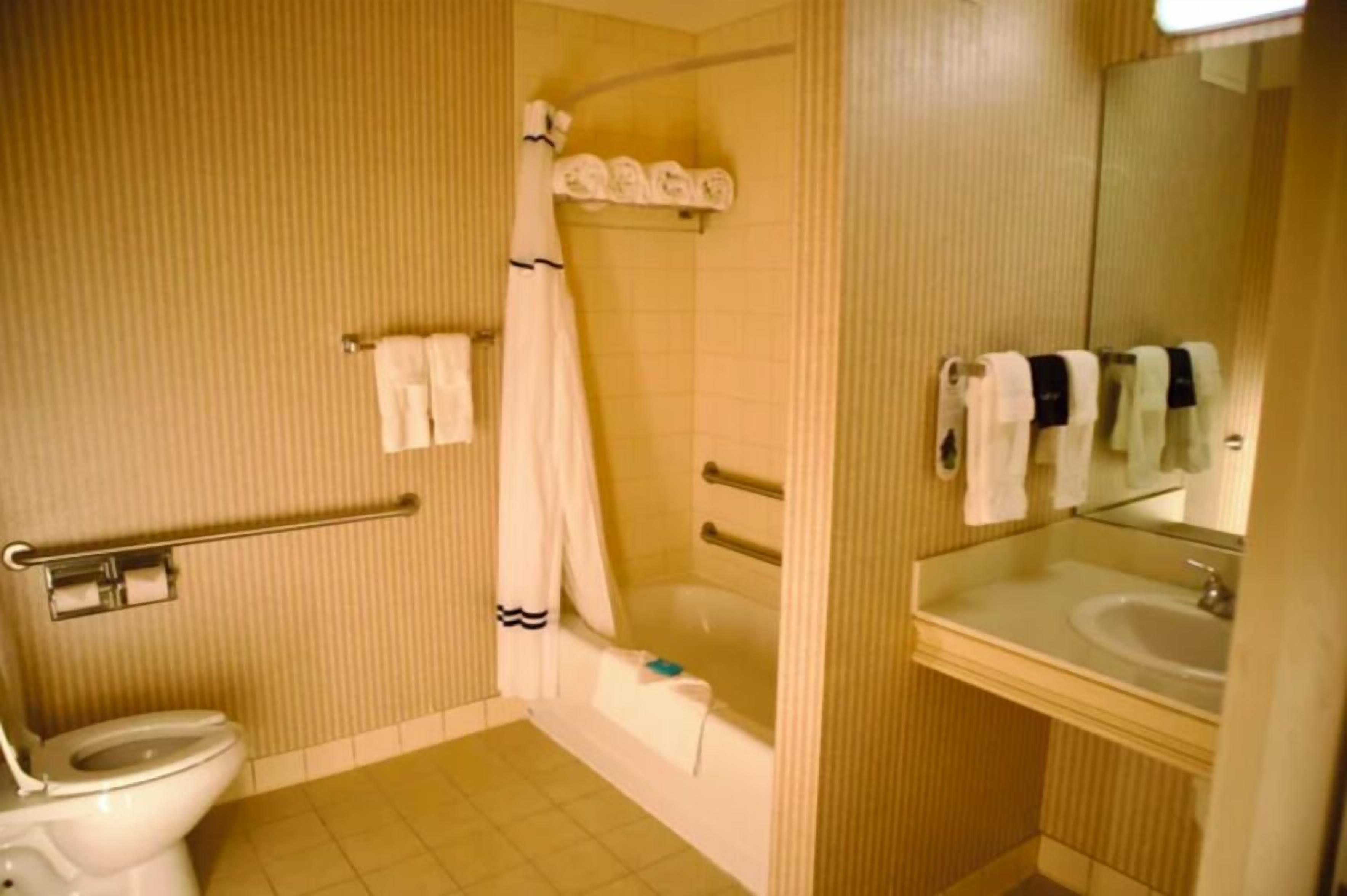 A bathroom with a toilet, a shower, and a sink.