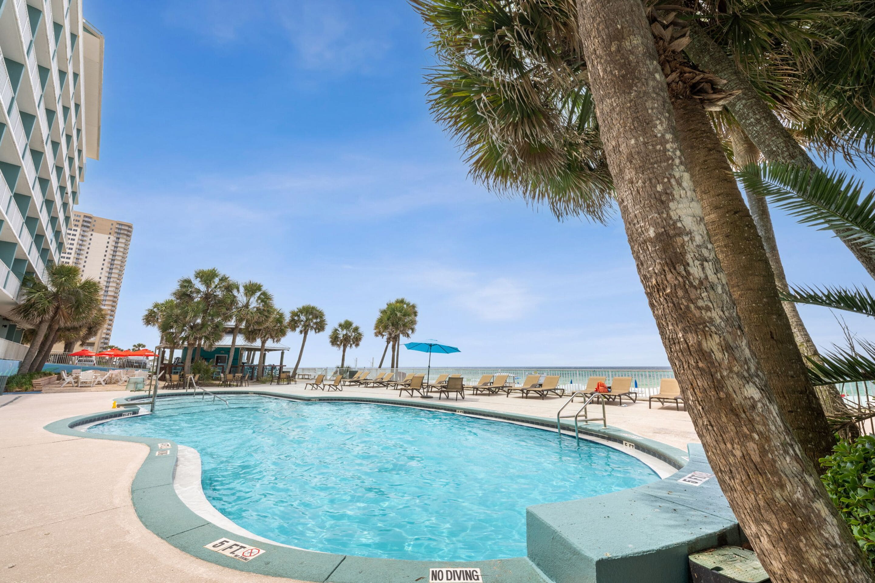 Una piscina al aire libre, una piscina climatizada