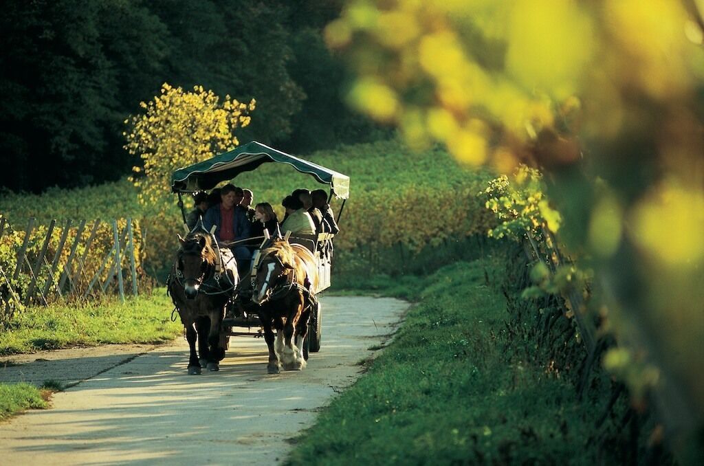land view from property