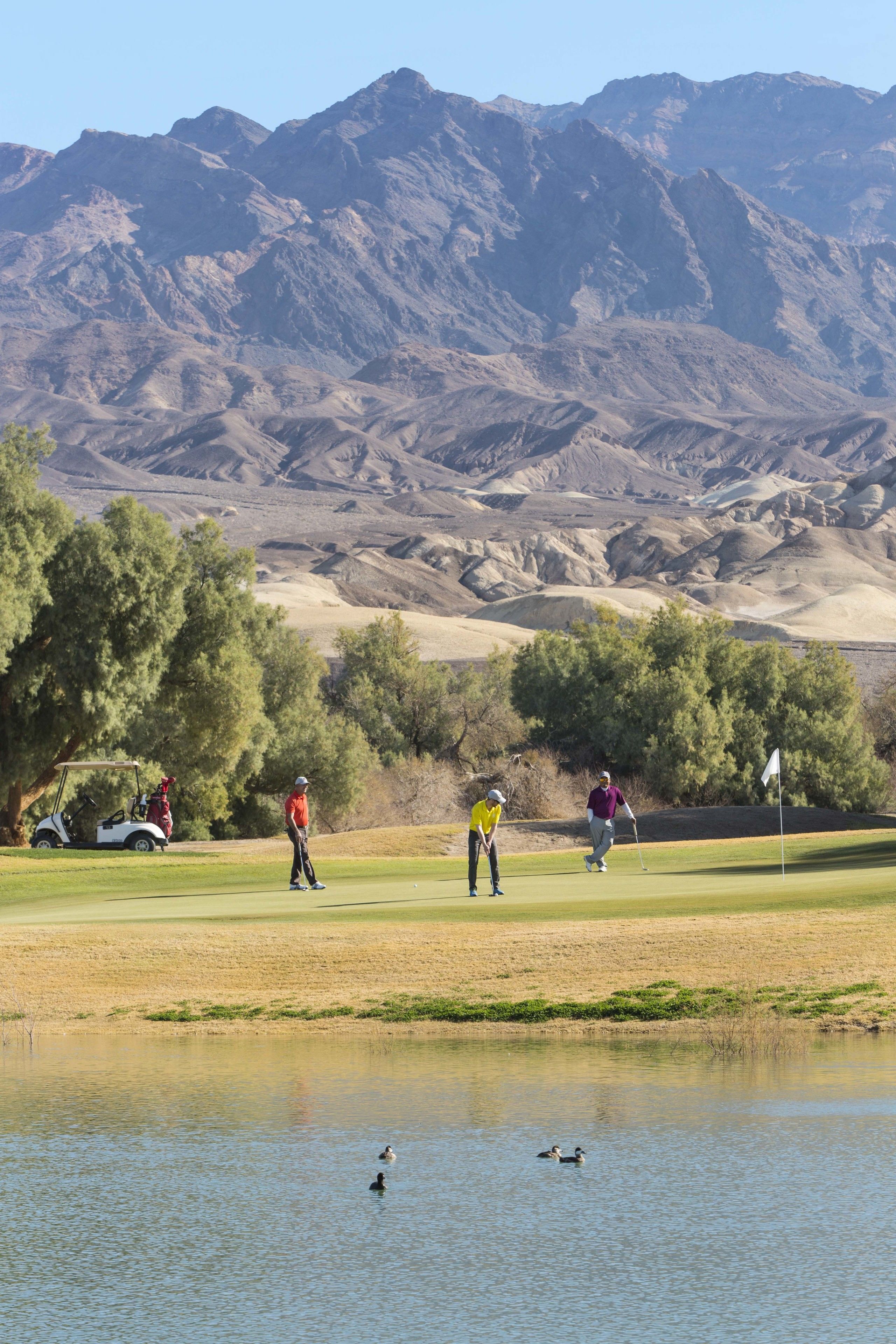 A golf course with players, a golf cart, and a pond with ducks.