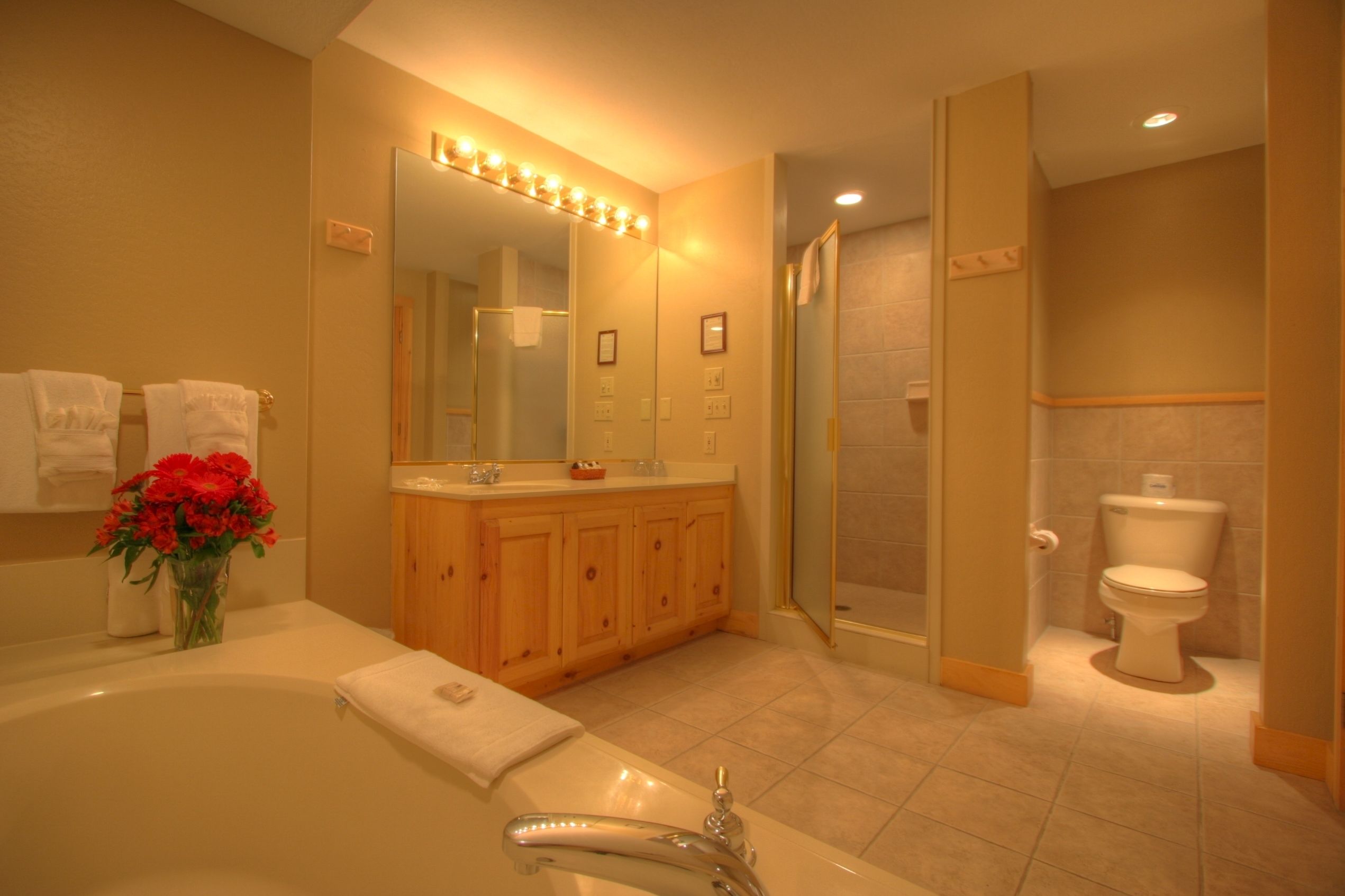 combined shower/bathtub, designer toiletries, hair dryer, bathrobes