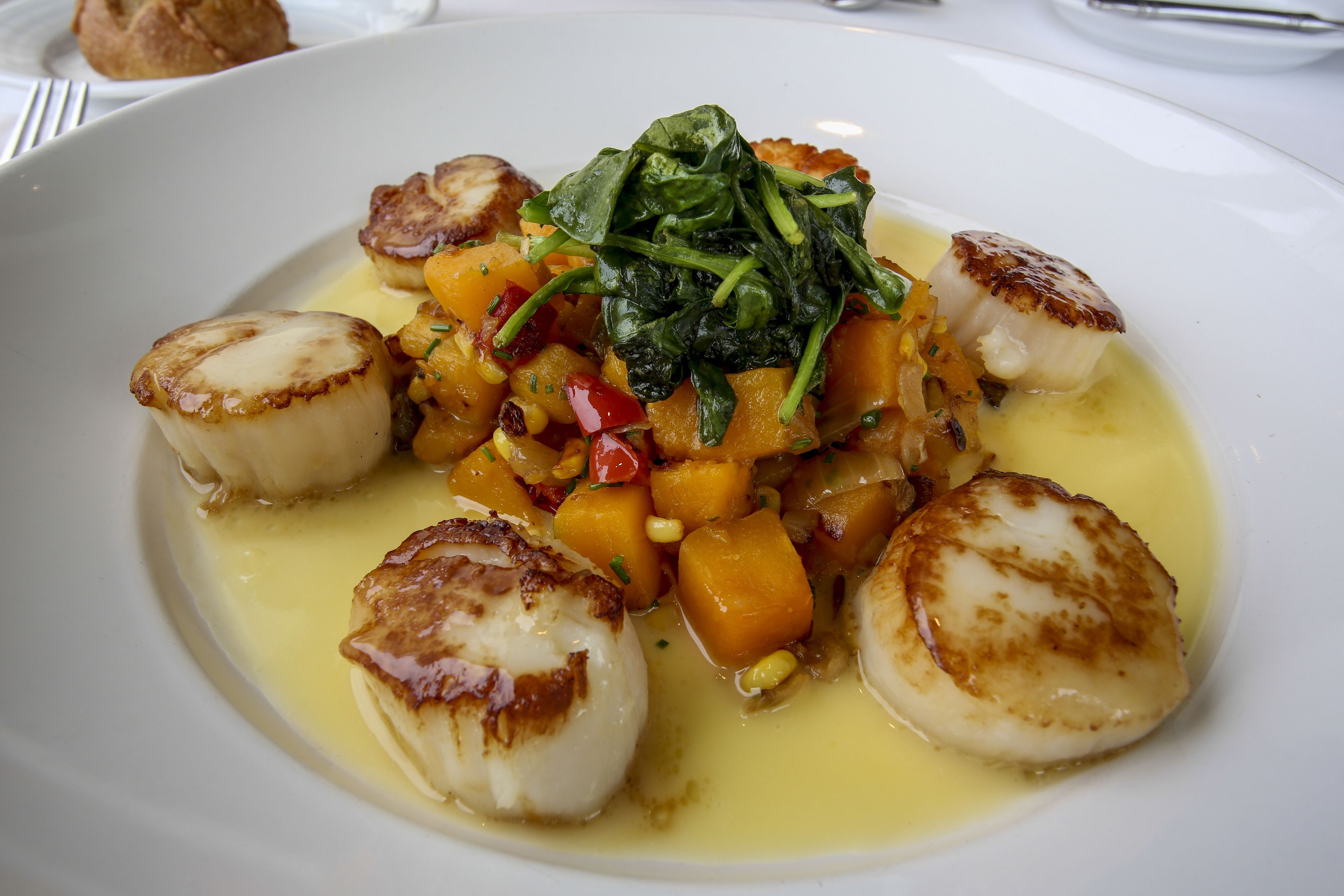 A plate of seared scallops with vegetables and greens.