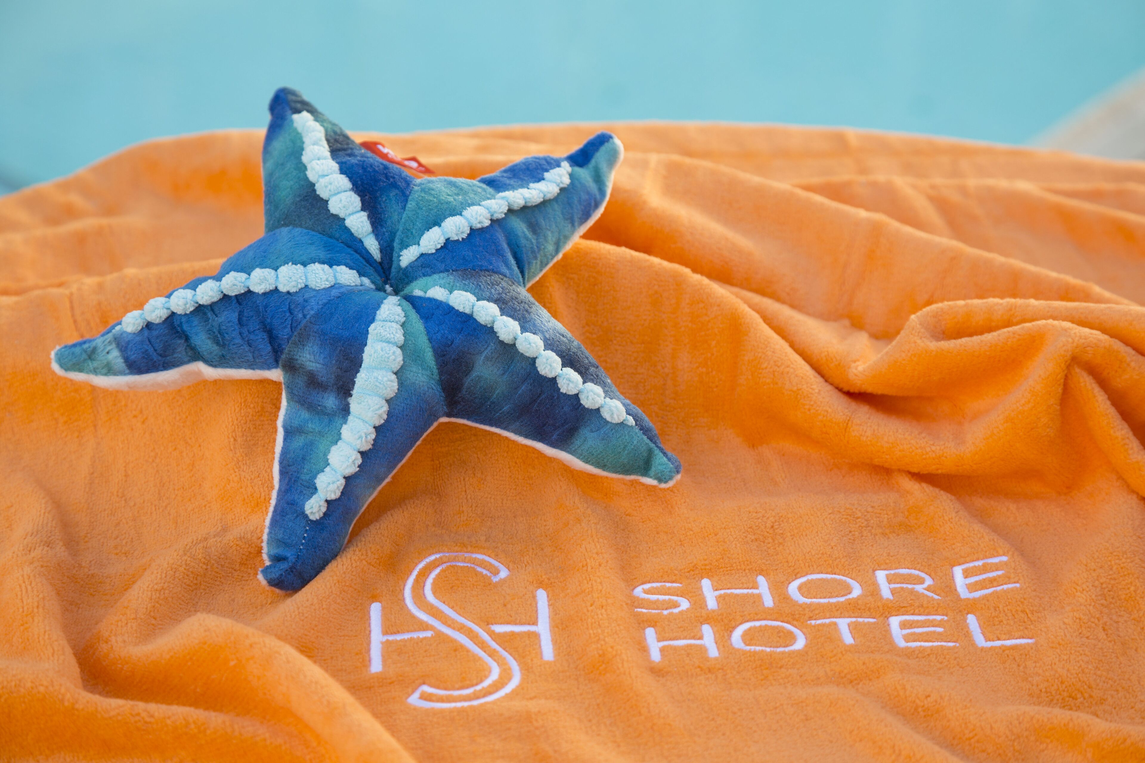 shower, rainfall showerhead, designer toiletries, hair dryer