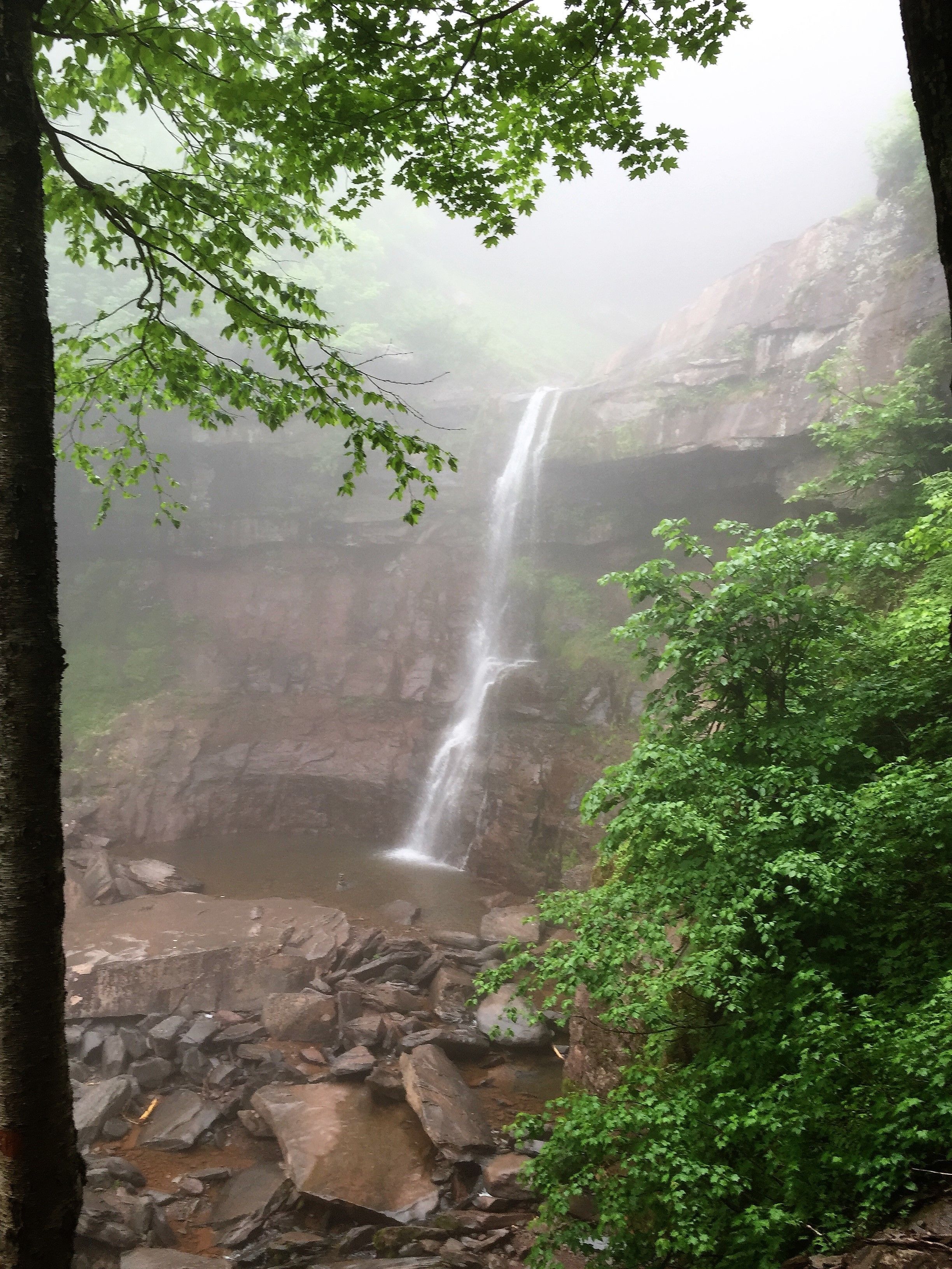 A waterfall surrounded by rocky terrain and dense foliage.