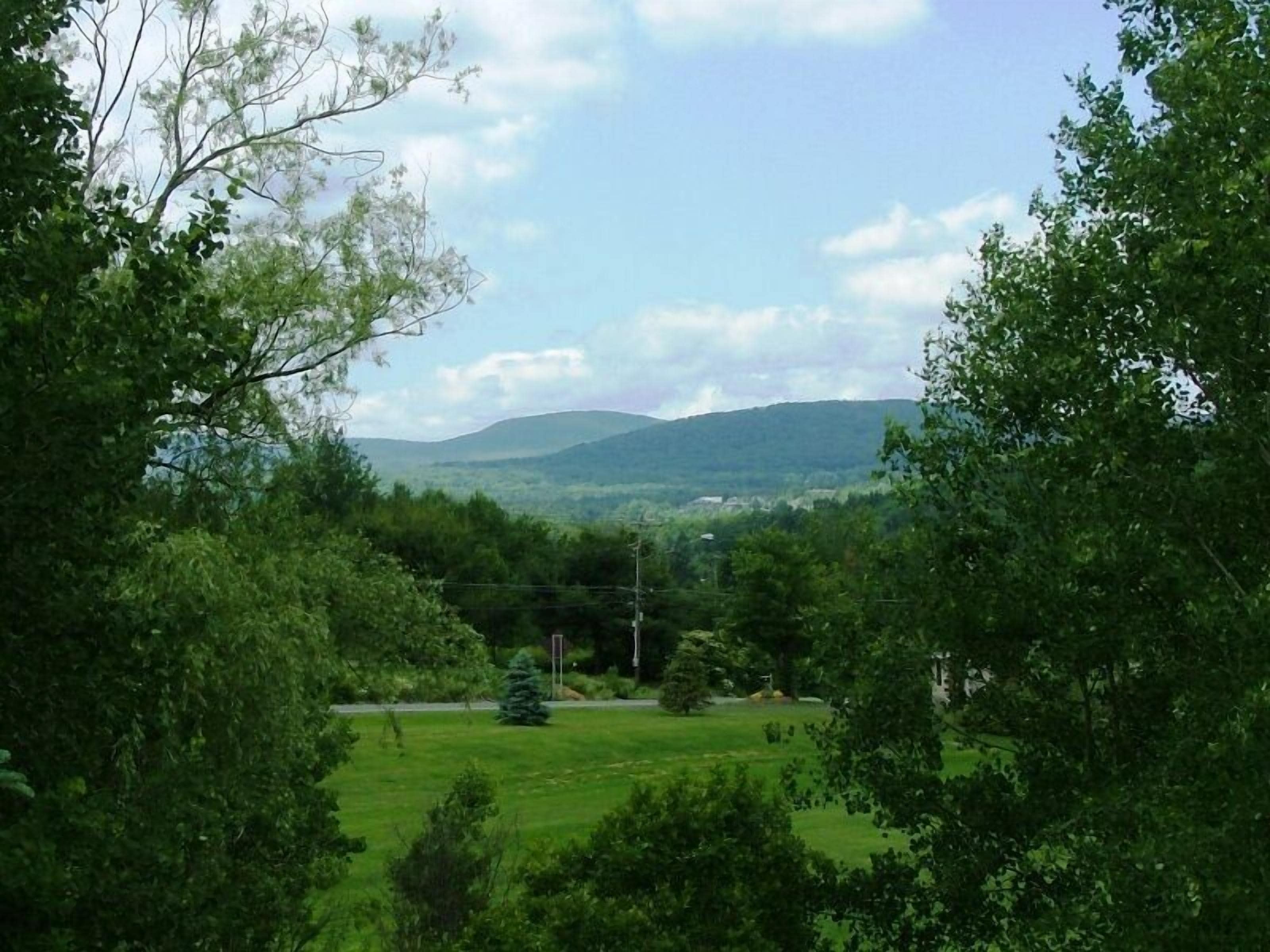 A view of a green landscape with trees and a distant mountain range.