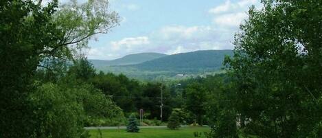 A view of a green landscape with trees and a distant mountain range.