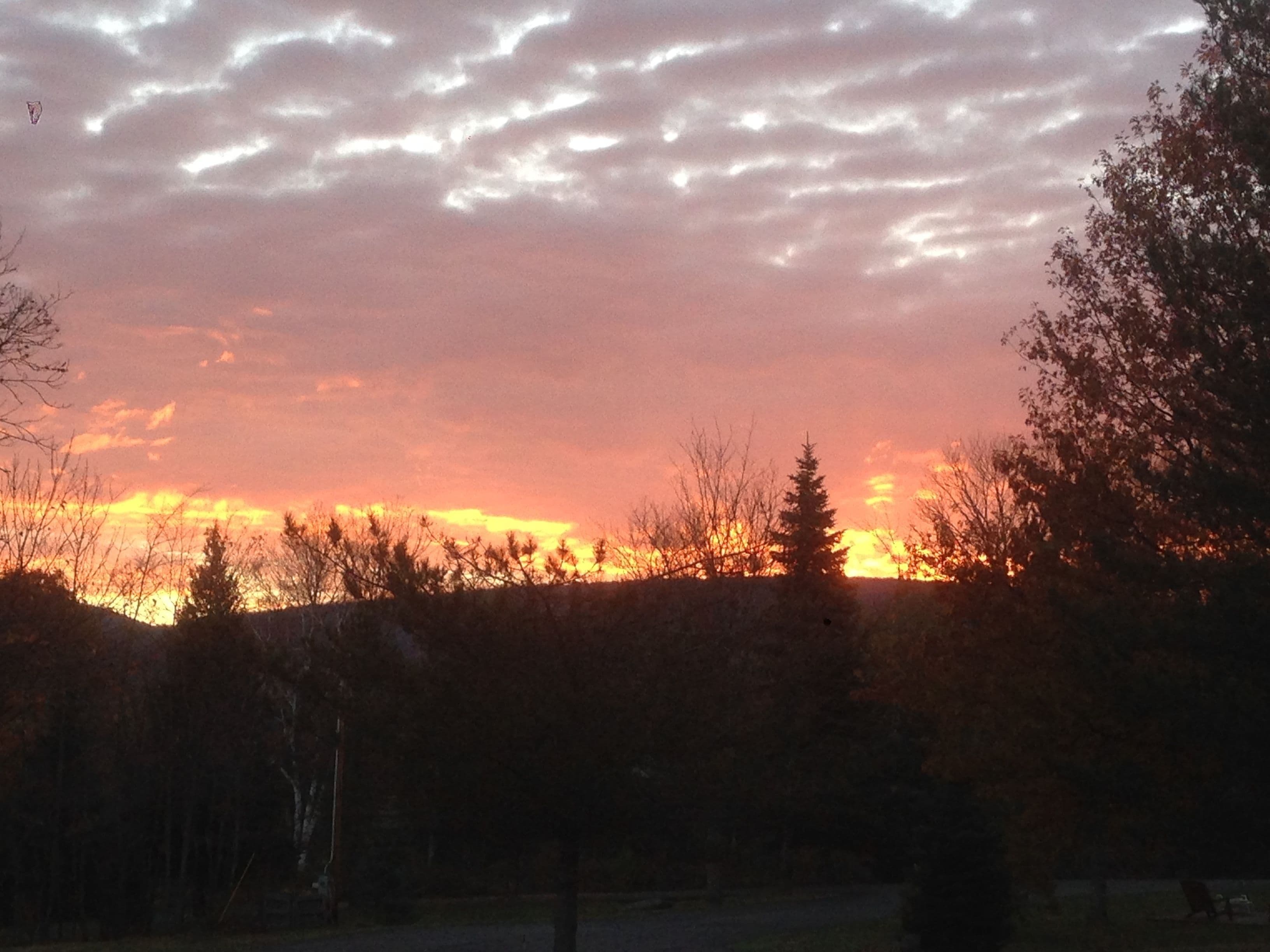 A sunset over a forested area with a clear sky.
