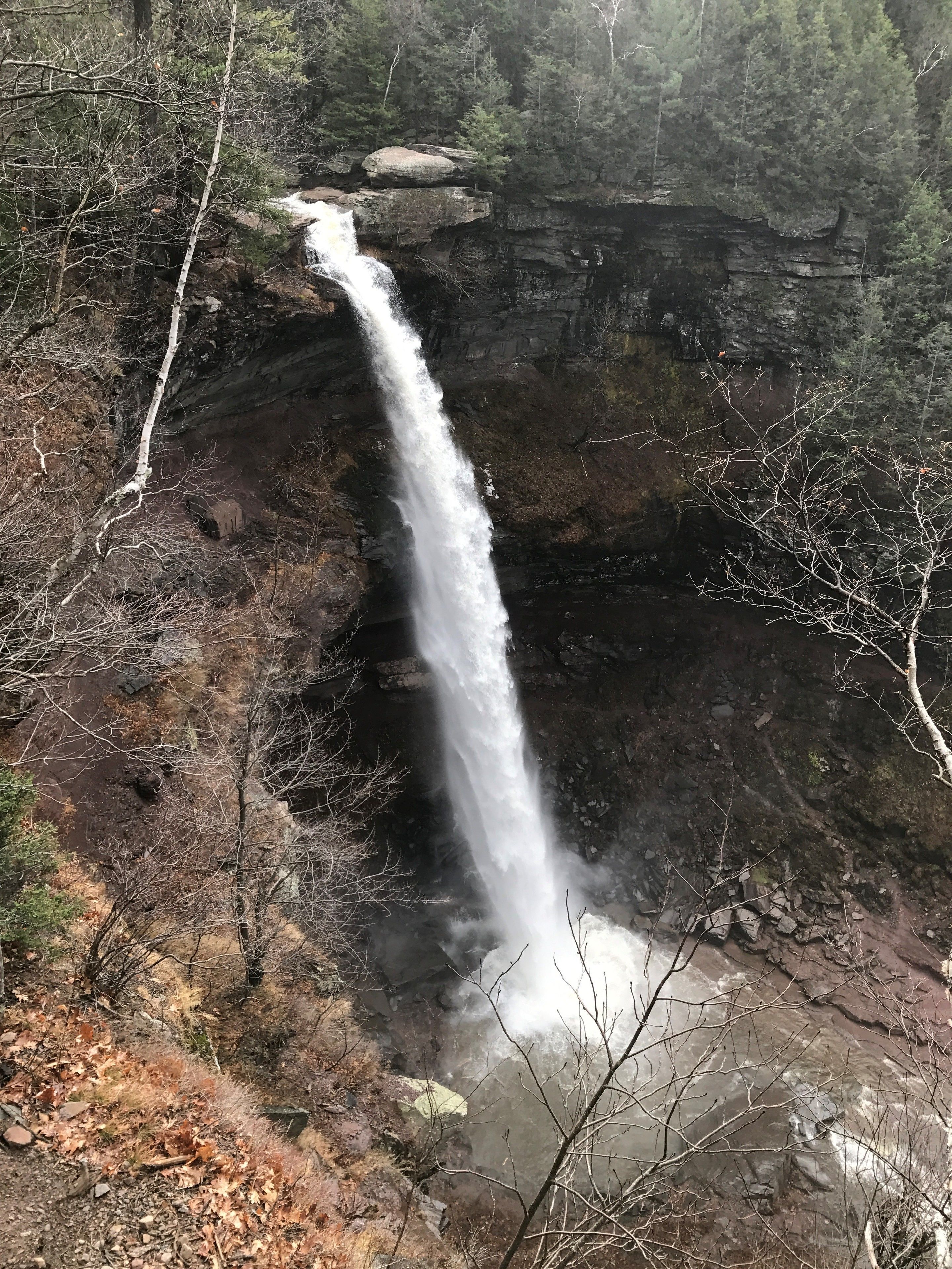 Una cascada fluye por un acantilado rocoso rodeado de árboles.