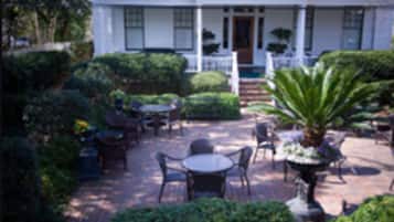 客房 | 露台/庭院