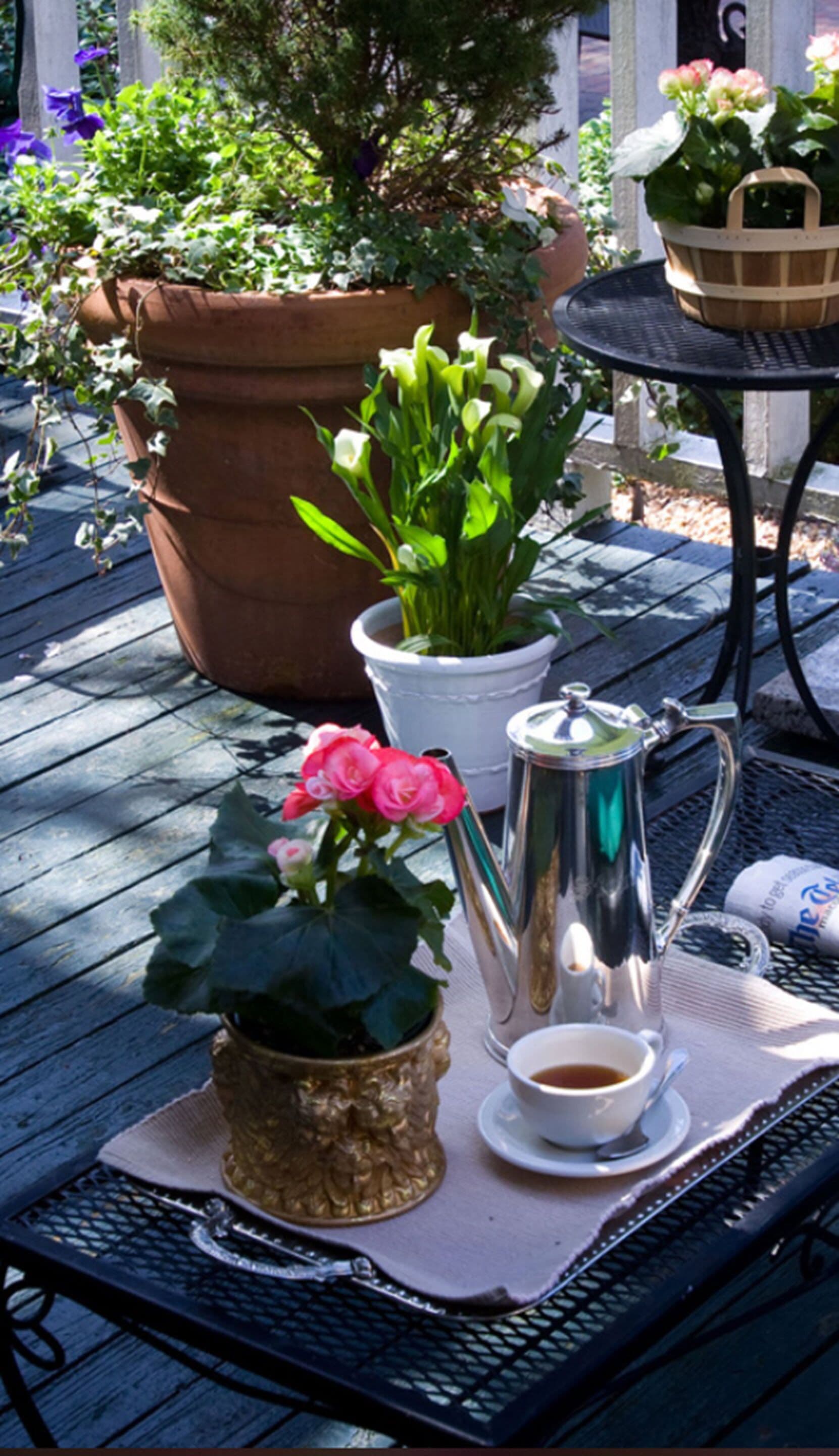 A table with a coffee pot, cup, and potted plants.