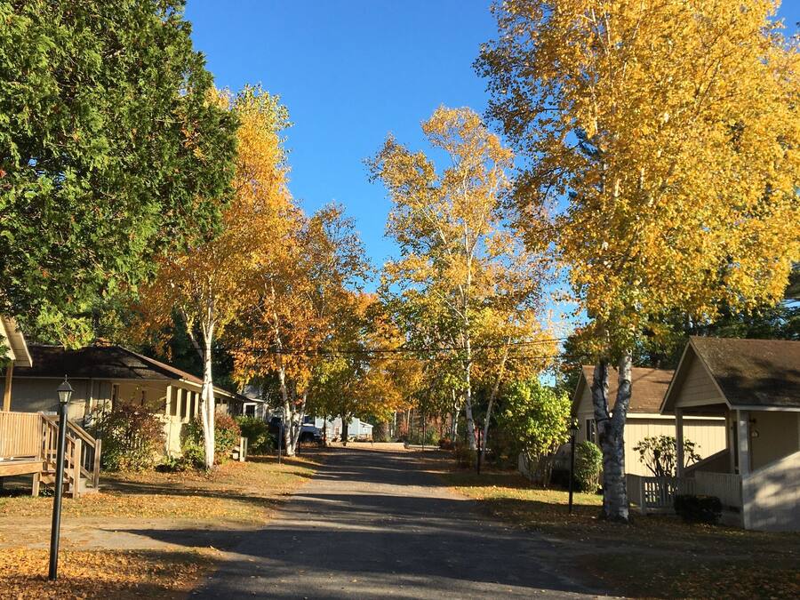 Boendeområde