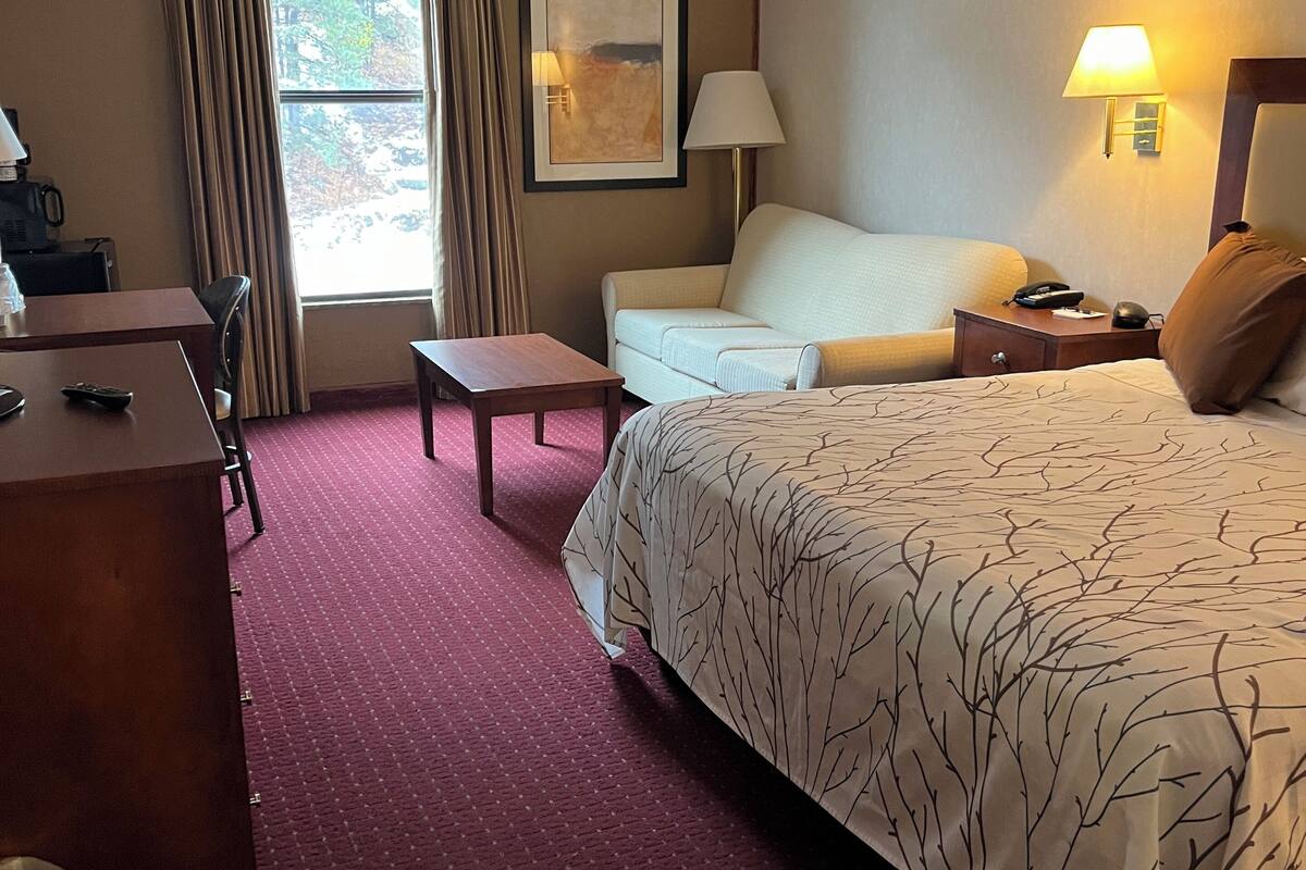 standard room, 1 king bed, non smoking | in-room safe, iron/ironing board, free wifi