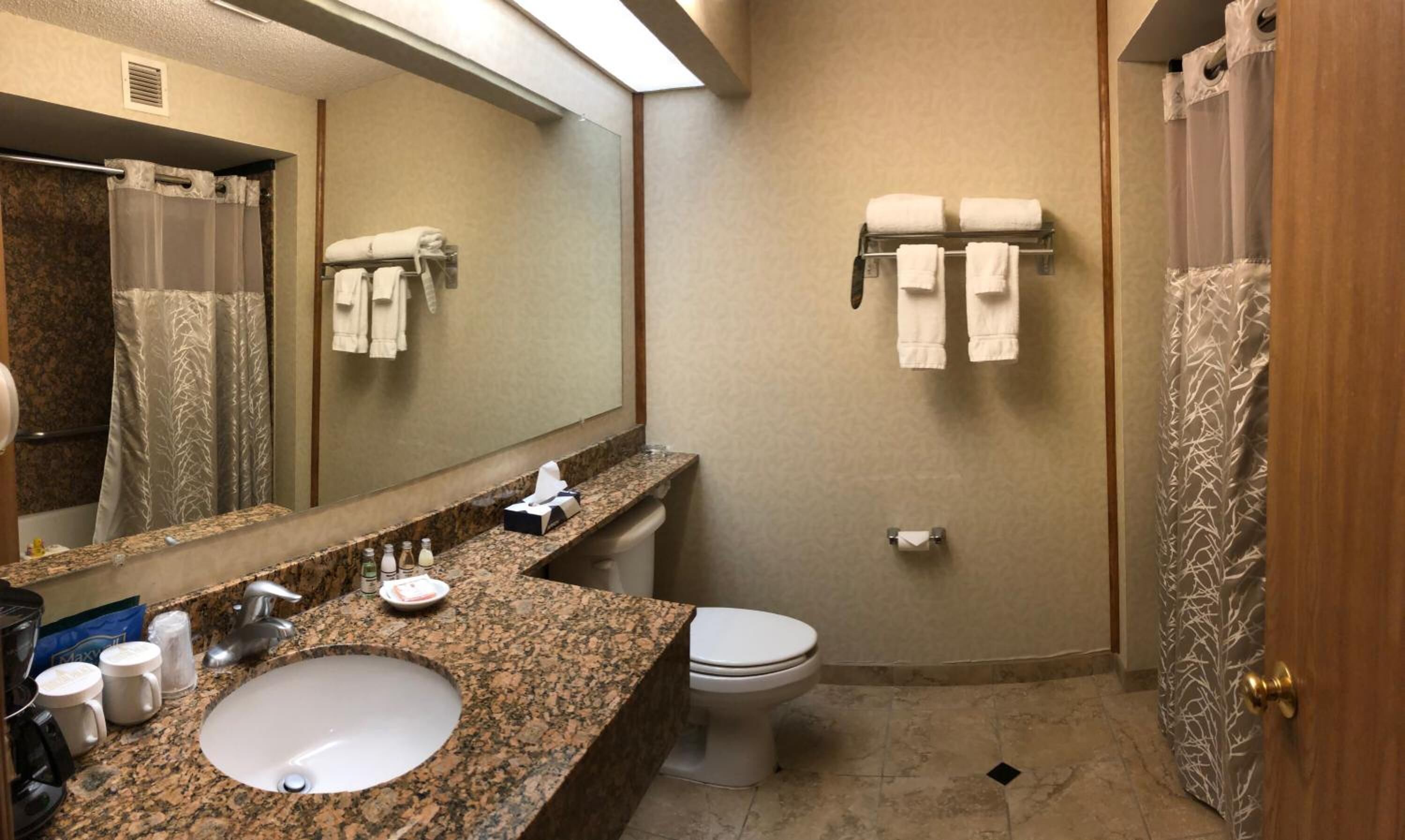 combined shower/bathtub, free toiletries, hair dryer, towels