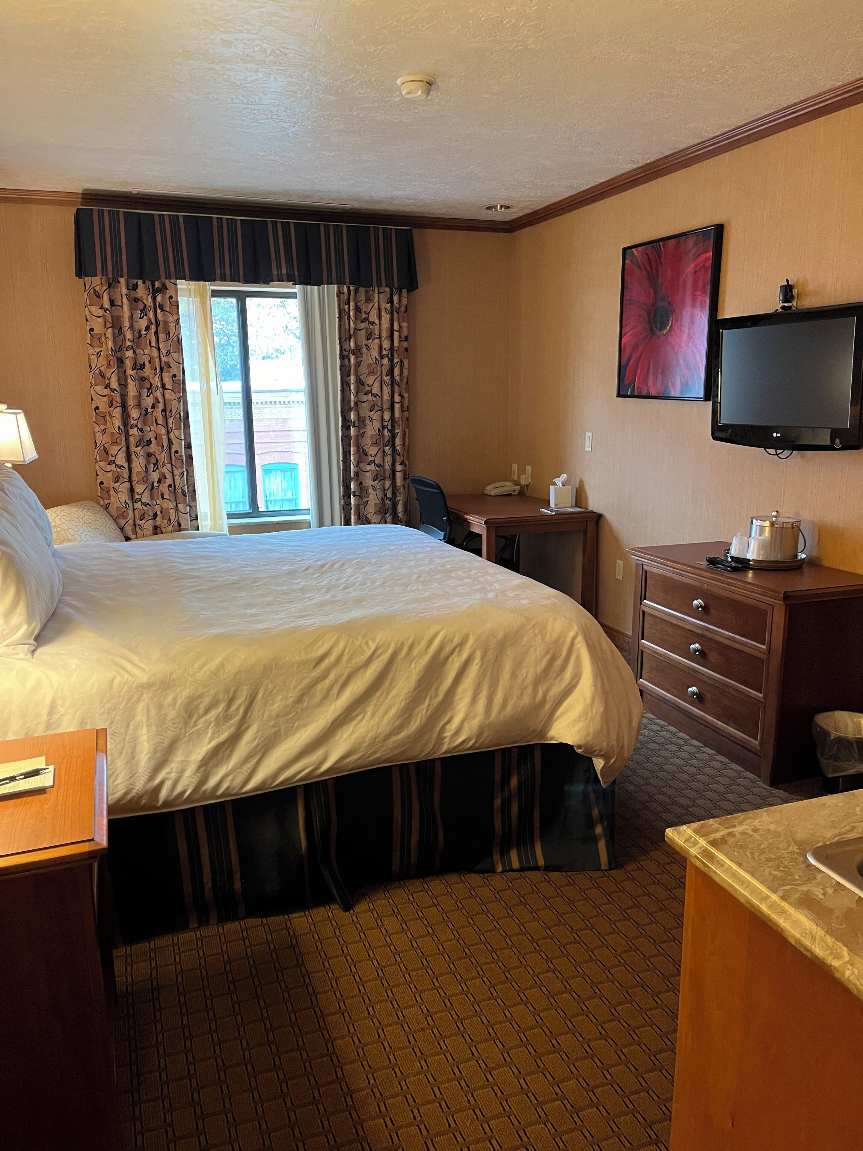 vip suite | in-room safe, iron/ironing board, free wifi