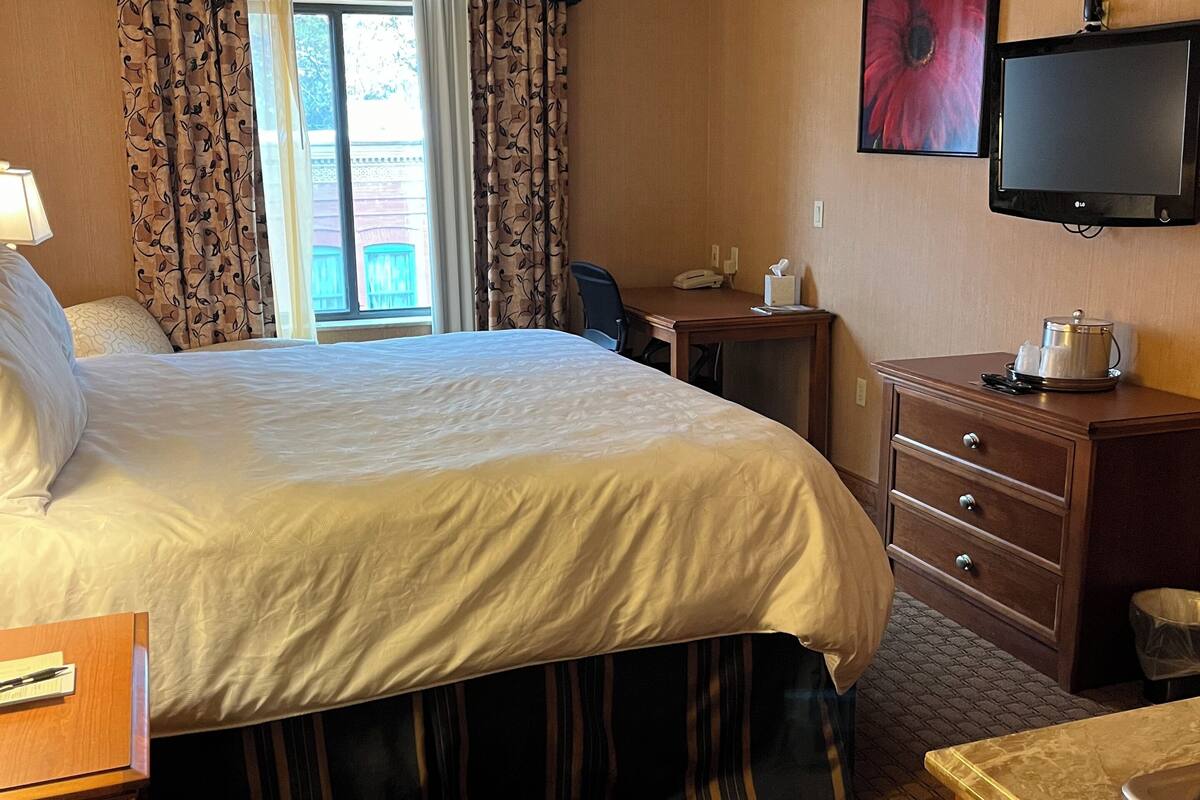 vip suite | in-room safe, iron/ironing board, free wifi