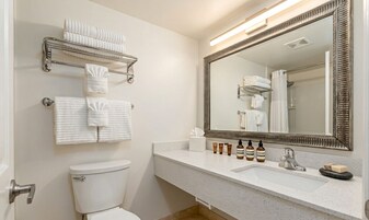 Combined shower/bathtub, free toiletries, hair dryer, towels