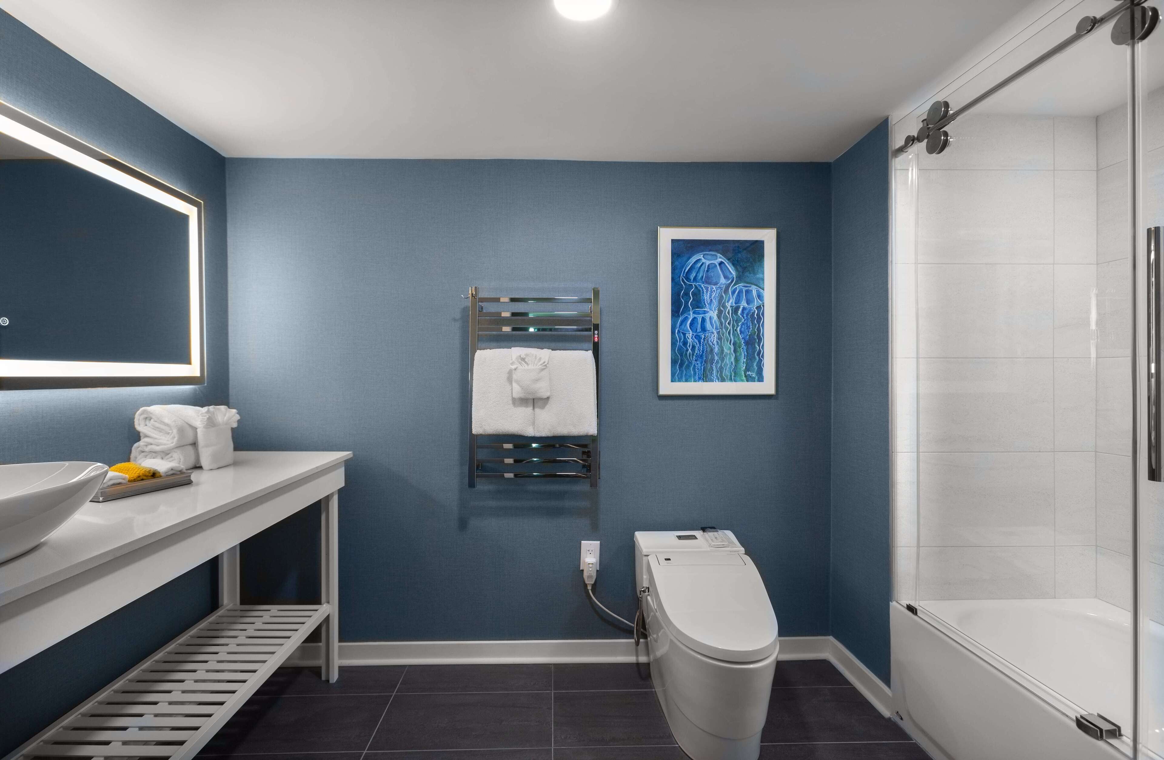 Une salle de bain avec des toilettes blanches, un lavabo avec un miroir et un espace douche.
