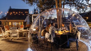 A transparent dome structure with a table and chairs inside, surrounded by trees and string lights.