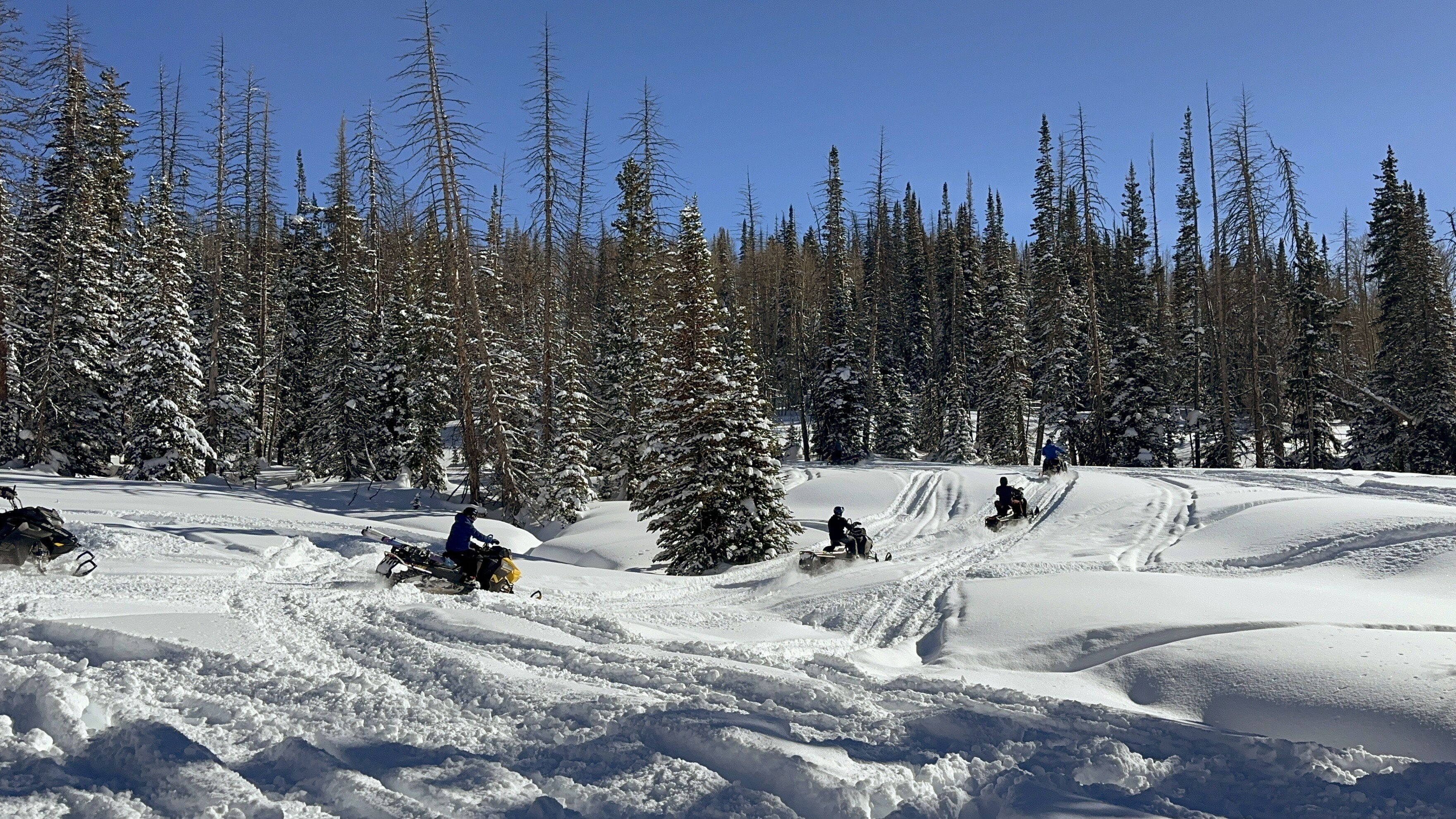 Pista de esquí nevada con árboles y cielo despejado.