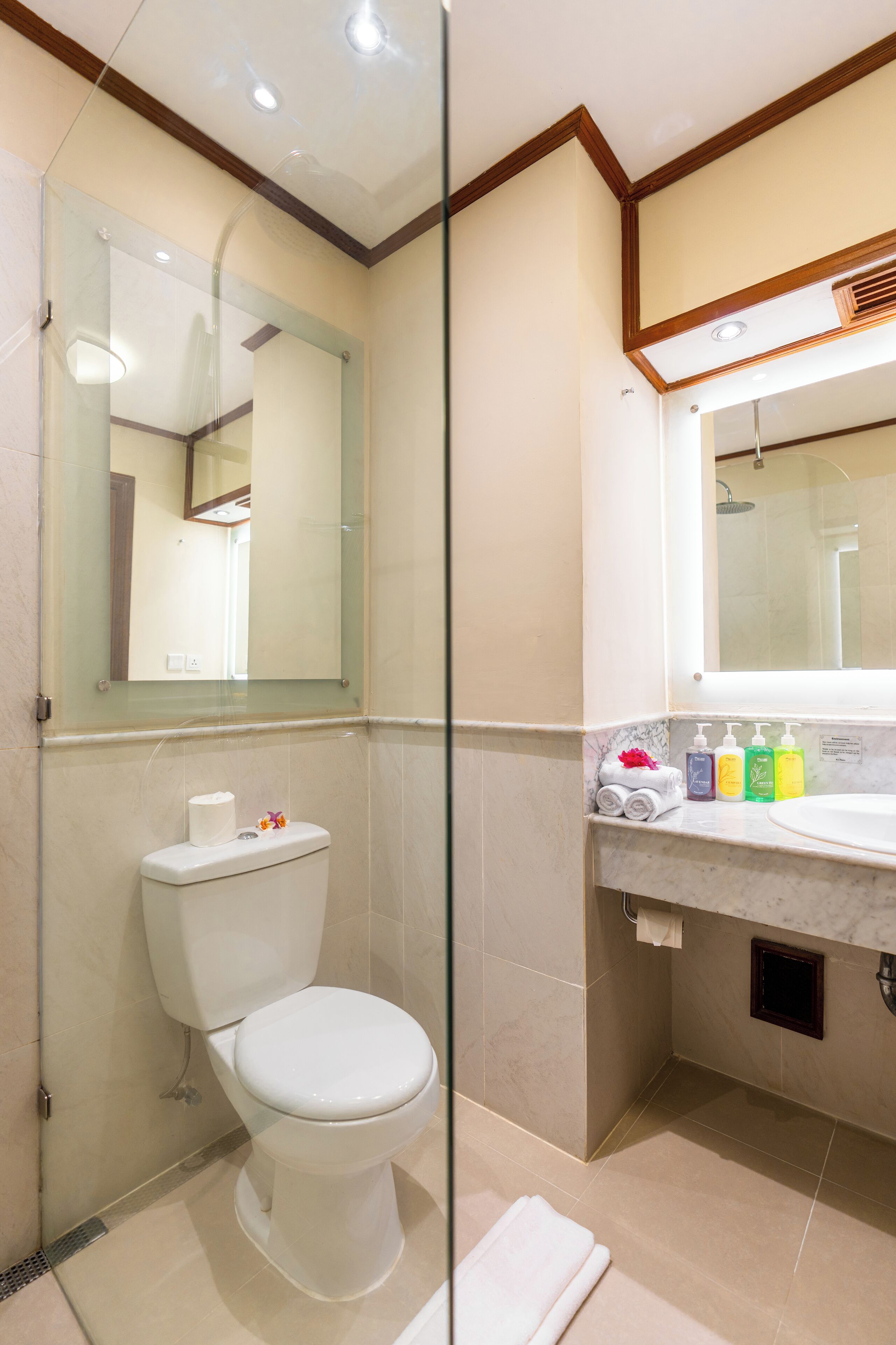 shower, rainfall showerhead, free toiletries, hair dryer