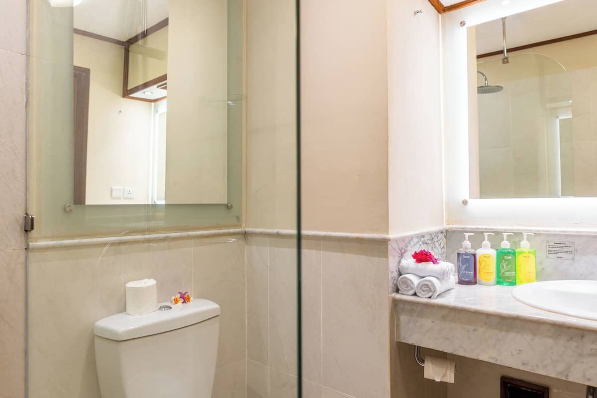 shower, rainfall showerhead, free toiletries, hair dryer