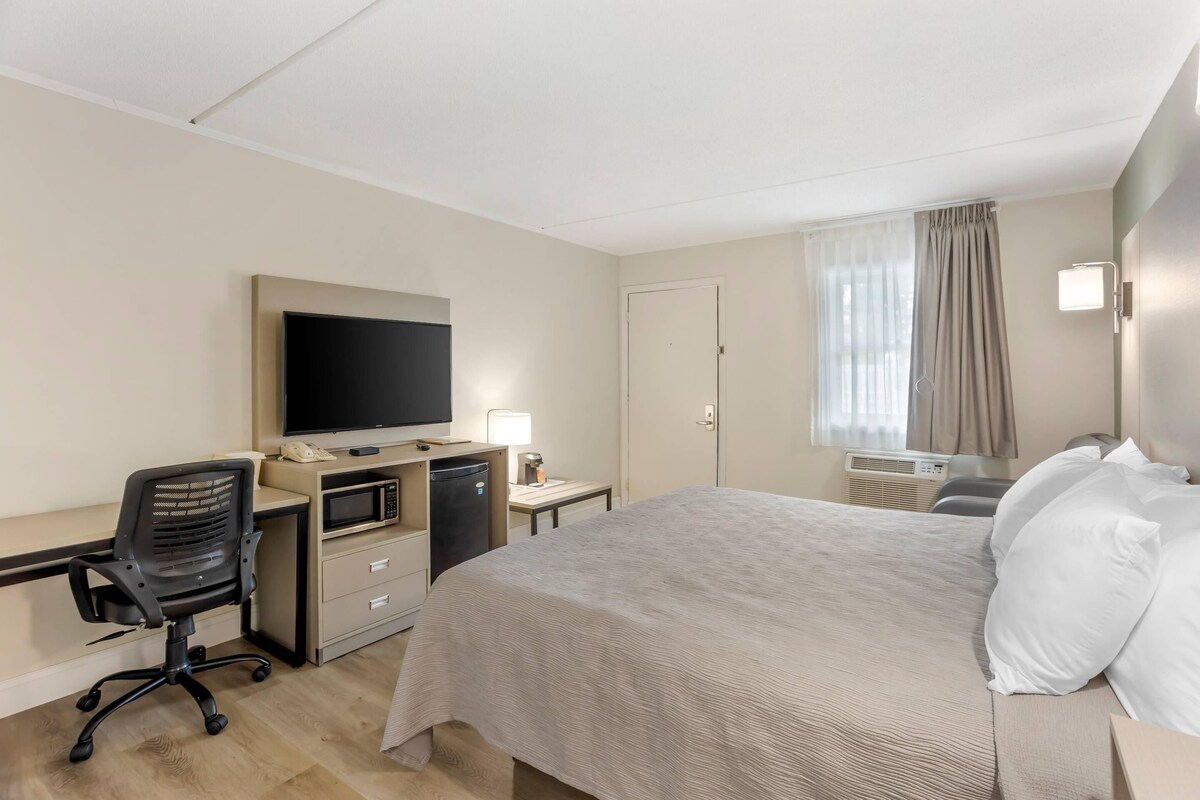 Room, 1 King Bed, Accessible, Non Smoking | Desk, iron/ironing board, cribs (free), WiFi (free)
