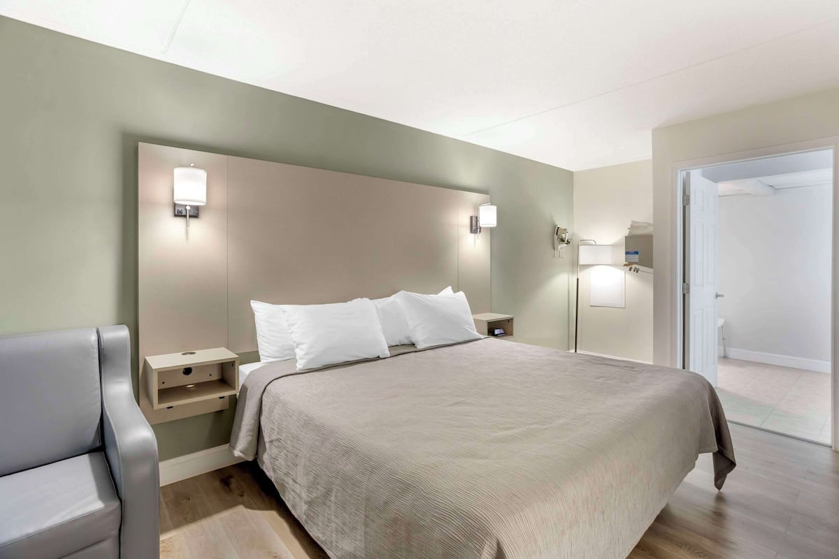 Room, 1 King Bed, Accessible, Non Smoking | Desk, iron/ironing board, free cribs/infant beds, free WiFi